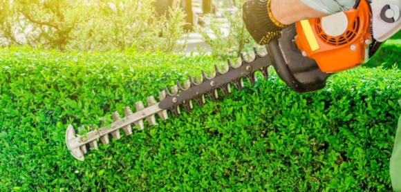 Jak dbać o spalinowy sprzęt ogrodniczy?